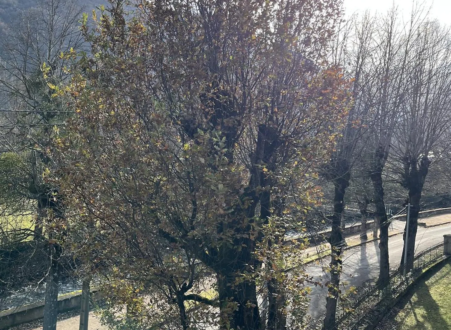 Apartamento Bagneres-De-Luchon T3 Francia